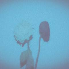 out_of_the_blue