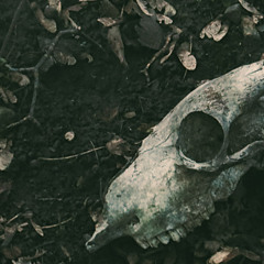 Dust Loop (Bass, Drums and Synths Mix)