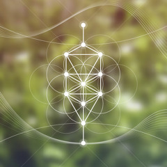 Guided Meditation for Empowerment