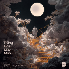 Bình Gold - Trăng Hoa Mây Mưa (Teddy Doox, Tirdy & DSmall Remix)