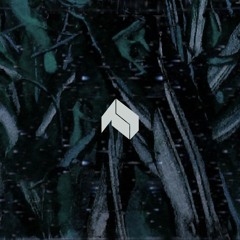 Pictoris - Third Moon (Flip for Black Sun Empire Remix Competition)