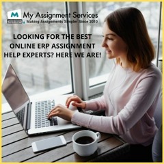 Looking For The Best Online ERP Assignment Help Experts? Here We Are