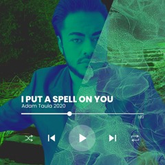 I Put A Spell On You s  Hocus Pocus