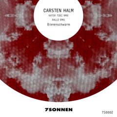 Bienenschwarm (Rallo Remix)