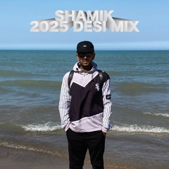 2025 DESI MIX