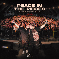 Peace In The Pieces