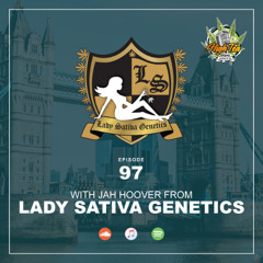 #97 With Jah Hoover From Lady Sativa Genetics