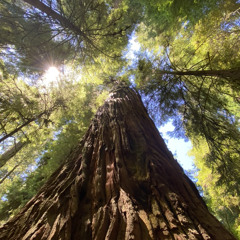 conversations with myself