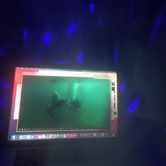 Meu corpo pertence ao mar