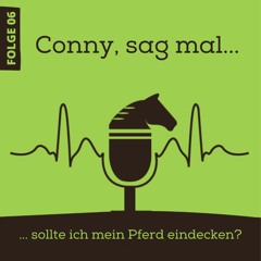 ... sollte ich mein Pferd eindecken?