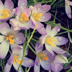 silicone world (prod After Sphere)