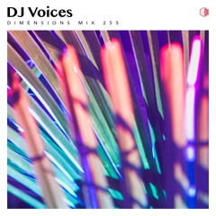 DIM255 - DJ Voices