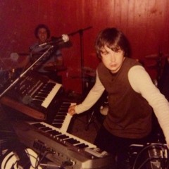 Palomino - Twisted Wings