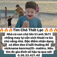 Rất Lâu Rồi Mới Khóc x Em Gái Mưa 2025 - MH ( Anh Vu Tặng )