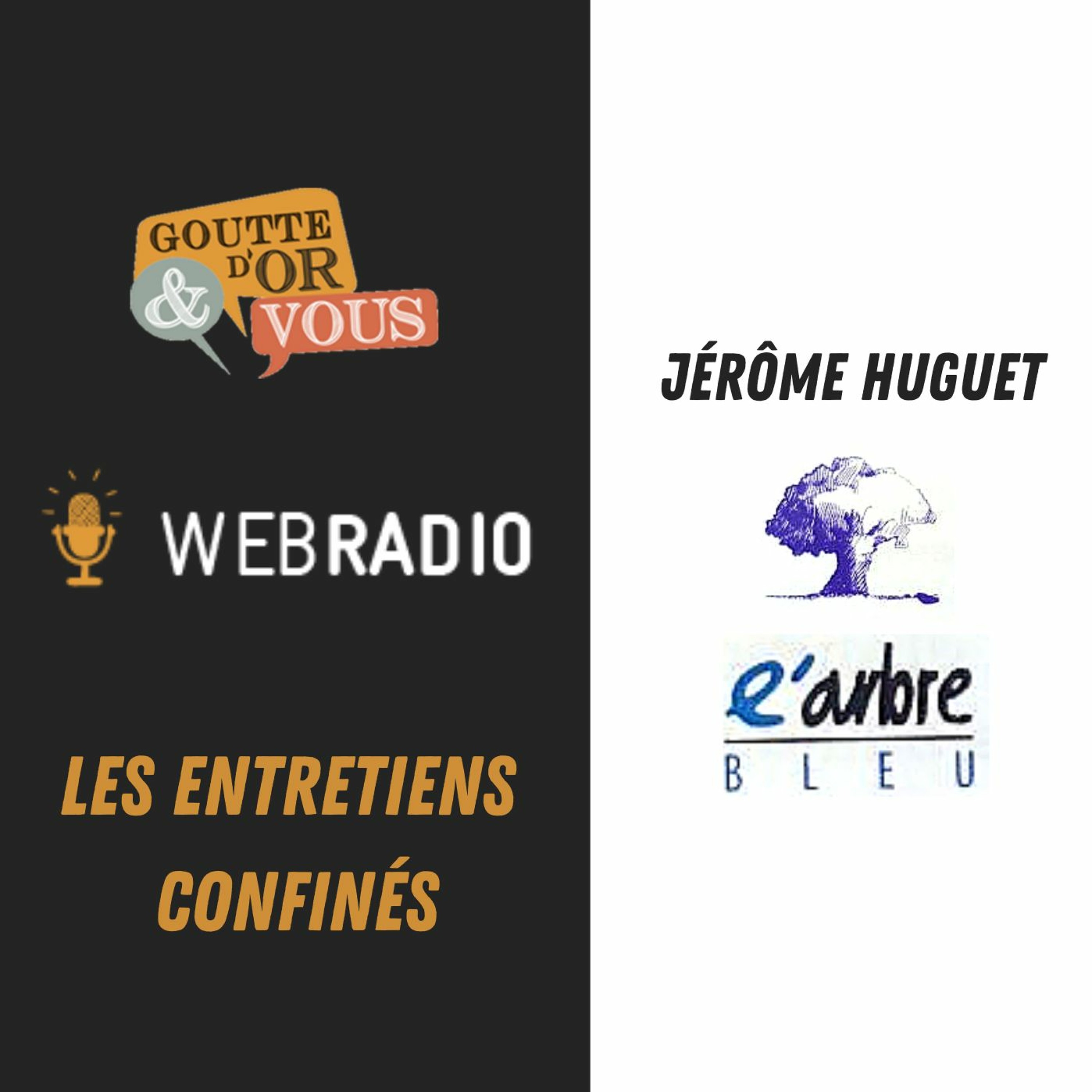 Webradio confinée : Jérôme de l'Arbre Bleu episode artwork