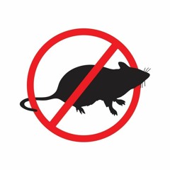 M!R4GE - Bawal Snitch (demo)