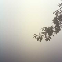 흐릿한 결심 (The Mist)