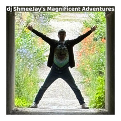 dj ShmeeJay's Magnificient Adventures