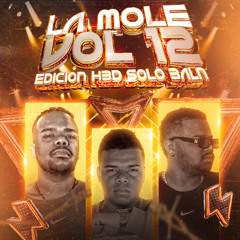 Andres Salas - La Mole Vol. 12 (Edicion HBD Solo Bala)