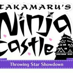 Scene 3 - Takamaru's Ninja Castle - Nintendo Land
