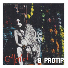 B protip 2003