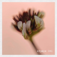 kfpnyx 041 by ones.