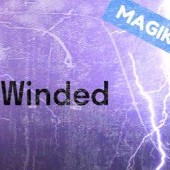 MAGIK MIC - WINDED