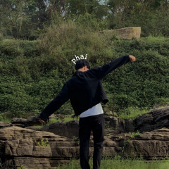 phaii-demo