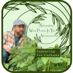 Episode 7 Kate Brelje Interviews Joe Culhane