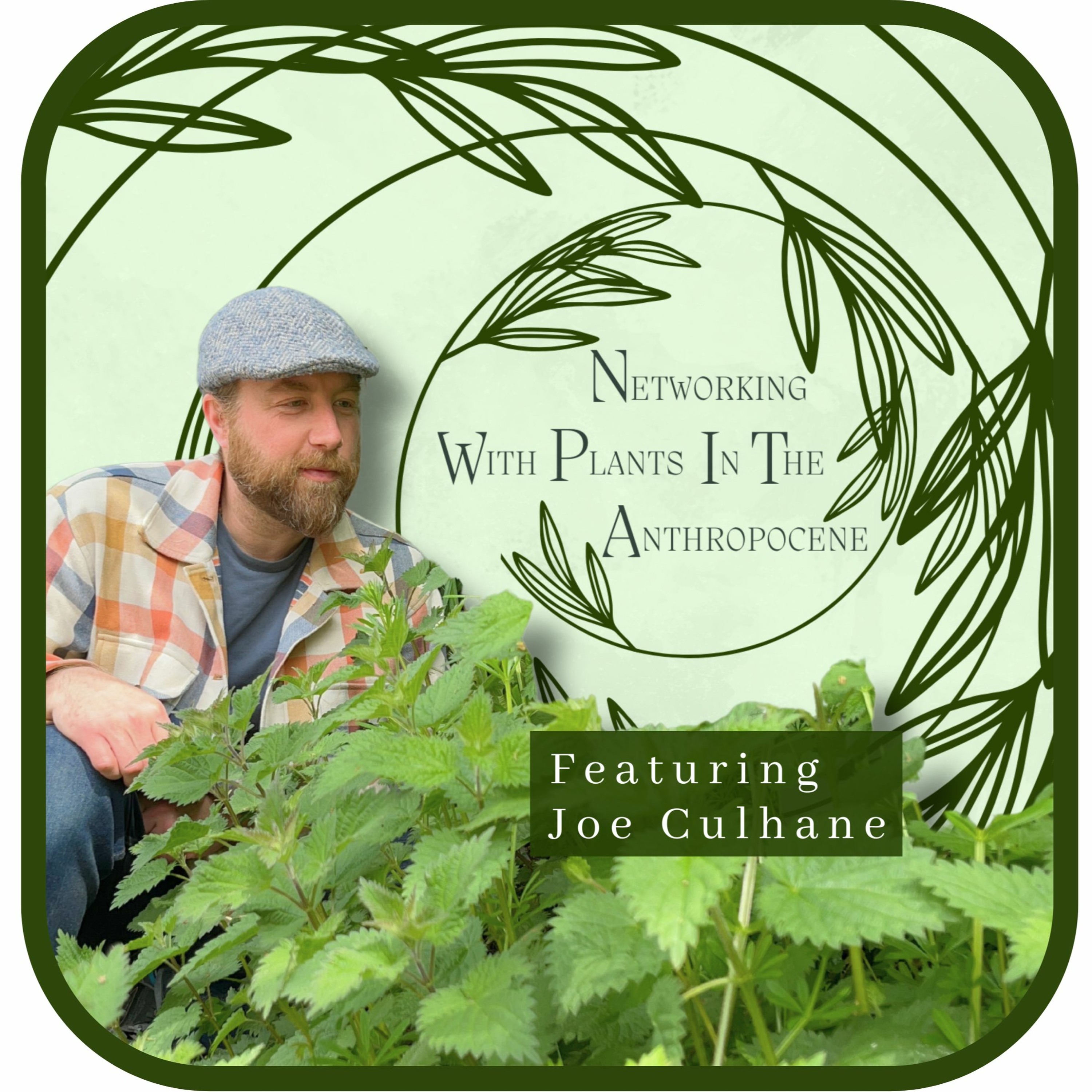 Podcast Networking with Plants in the Anthropocene
