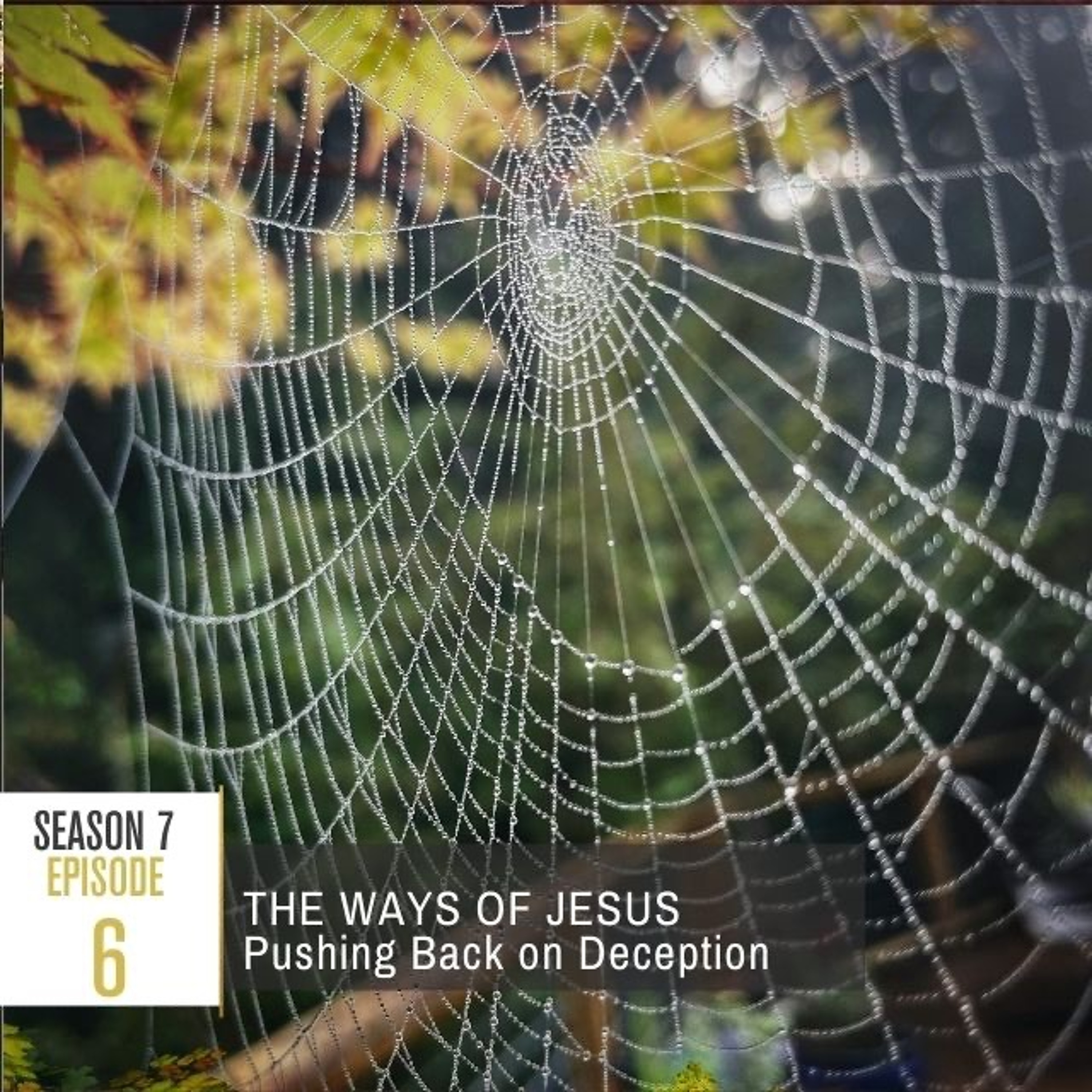 Paying Ridiculous Attention to Jesus