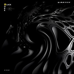 Q.RAVEN - UX5