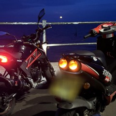 rando bangers bassline/speedyg/classics