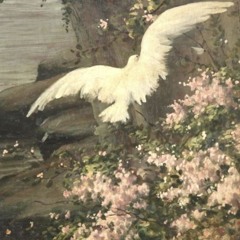 silent ghost [wixxy]