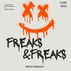 David Guetta and Marten Hørger vs. Timmy Trumpet - Freaks & Freaks (Pricky Mashup)
