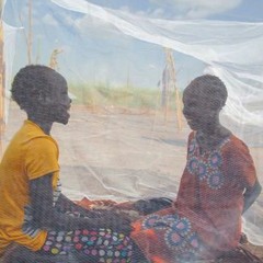 JARIDA LA HABARI ZA UM 20 APRILI 2023: Malaria, Wakimbizi Sudan, Nyama, Mayai, na Maziwa.