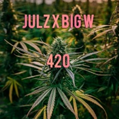 JULZ X BIG.W - 420