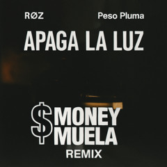 APAGA LA LUZ - MONEY MUELA REMIX