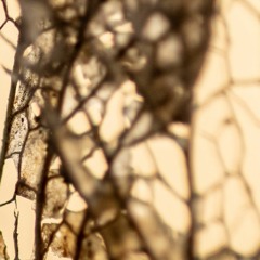 Fragile Soul (Acoustic)