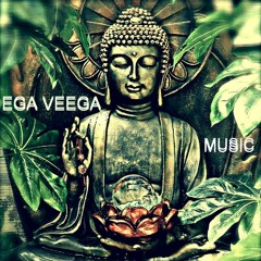EGA VEEGA-(18.11.20.set)