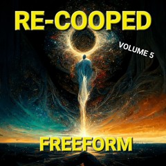 RE-COOPED VOLUME 5 - FREEFORM