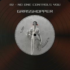 B2 No One Controls You - Grasshopper