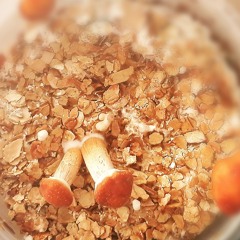 Sucht&Ordnung(160bpm) .mp3