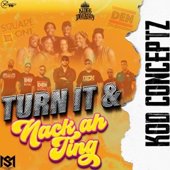 TURN IT & NACK AH TING - STEVERO MUSIC X KINGS OF DIVERSITY #KODCONCEPTZ