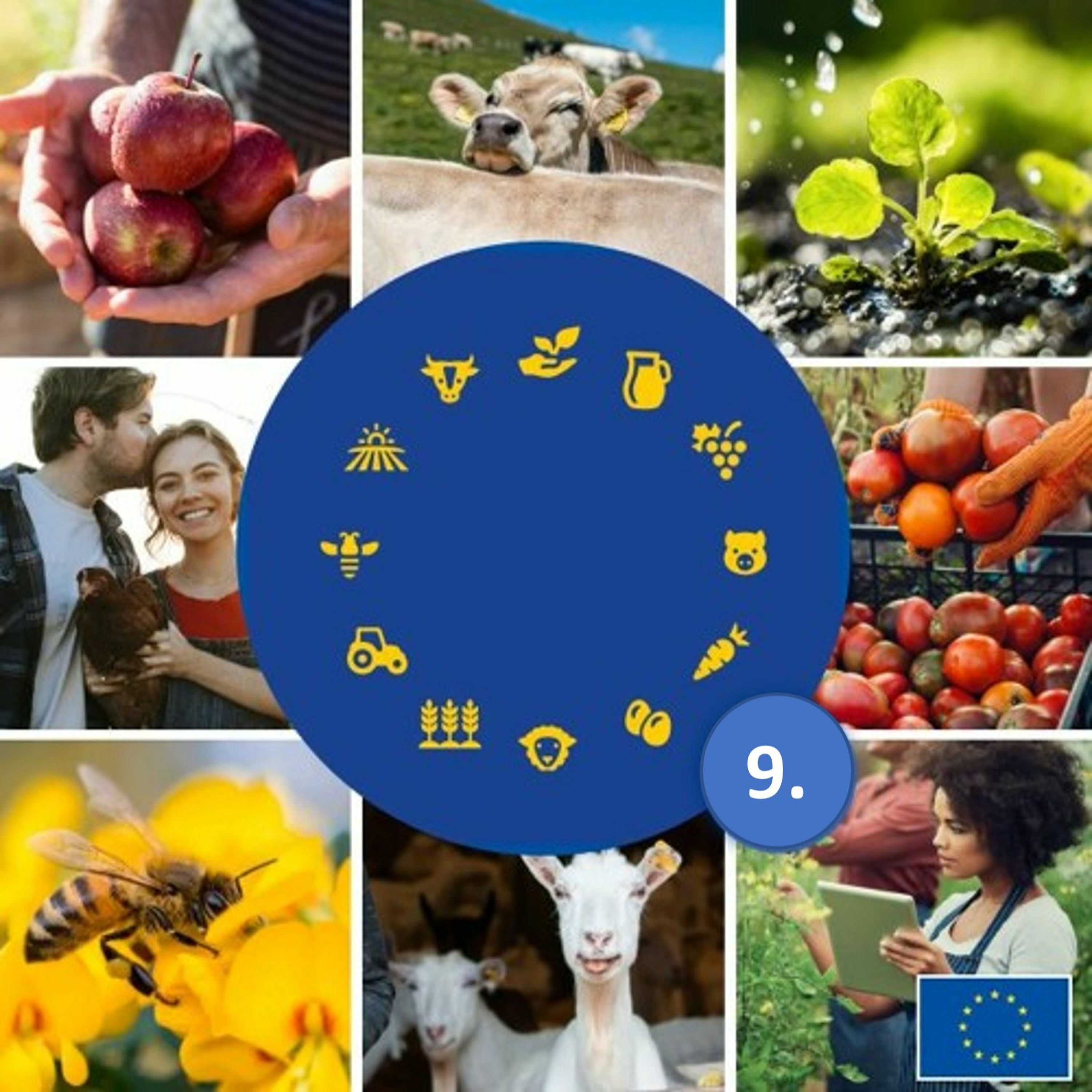 Food for Europe