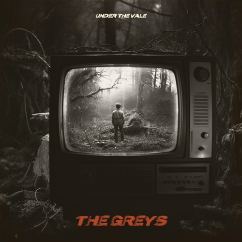 The Greys - Sugar Coated
