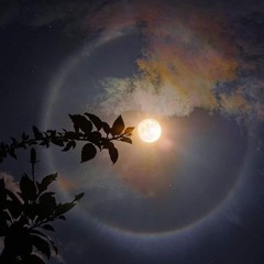 see u no more (7 + amax + sohi + jetta)