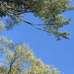 Electronica Esoterica 000 - Experimental Genreless Set (Trance/Techno/Future Garage/IDM)