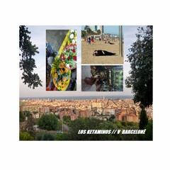 LOS KETAMINOS // V BARCELONĚ (feat. ONDRA ČTVRTEK)