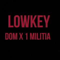 LOWKEY(FEAT.1MILITIA)